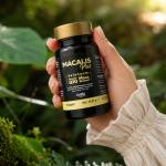 Macalis Plus